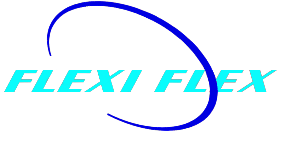 Flexiflex Data Solutions logo